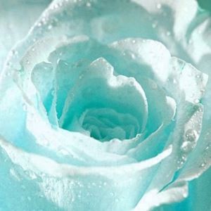 Meet your Posher, Lauralee